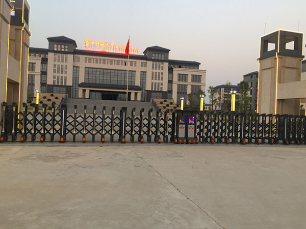 华中师范大学海丰附属学校-飞豹209B